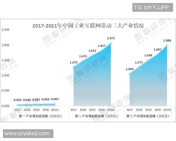 重庆排球队状态分析与未来展望聚焦排球运动发展新机遇
